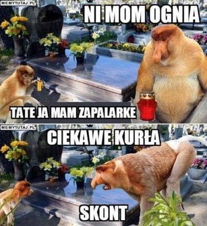 Najlepsze memy na Wszystkich Świętych. Uśmiejesz się do łez 