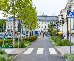 Sadzenie zieleni na placu Bankowym w maju 2025 r.