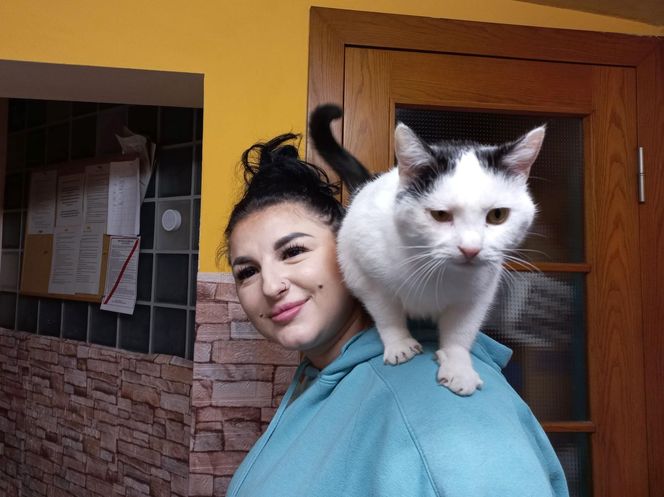 Poszukiwani wolontariusze do pomocy w Kociarni w Lesznie