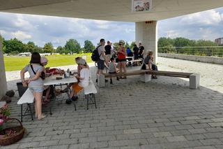 Kieleckie Święto Róż 2023