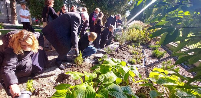 Ogród sensoryczno- naukowy przy SP nr 10 w Zamościu