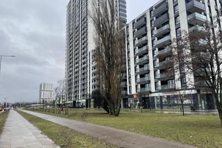 Karetka zakopała się w grząskim trawniku bo na drodze pożarowej stoją słupki 