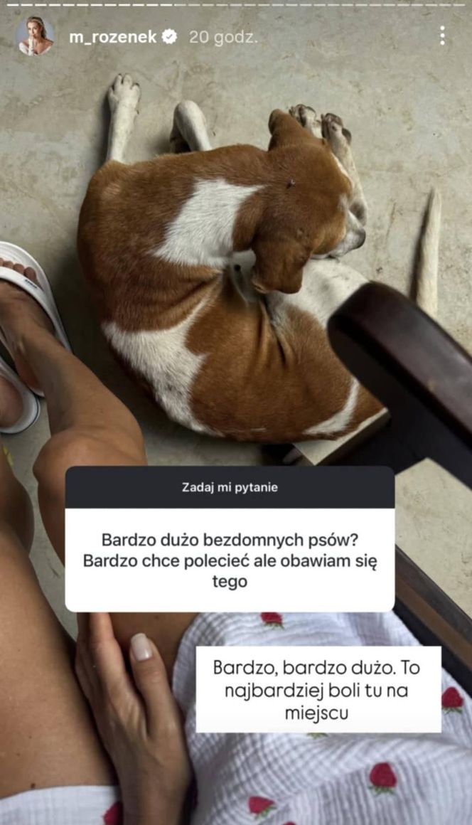 Małgorzata Rozenek-Majdan