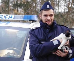 Policjanci uratowali kotka. Internautka powiada, co dalej zrobić