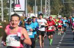 16. PKO Poznań Maraton