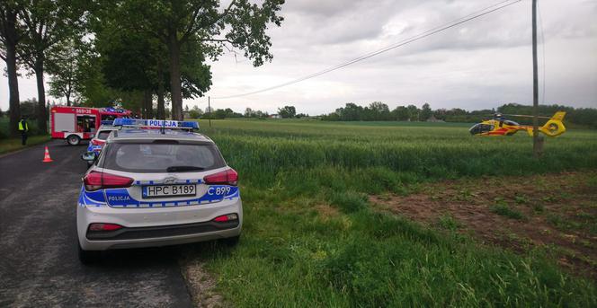 Ojciec z córką zginęli na drzewie