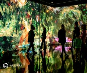 Immersive Monet & The Impressionists