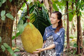 Jackfruit (dżakfrut): wartość odżywcza i właściwości. Jak smakuje jackfruit?
