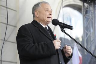 PiS wygra wybory i może mieć większość konstytucyjną [NOWY SONDAŻ]