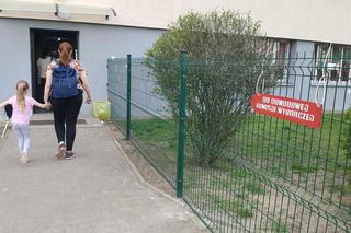 Wybory samorządowe 2024