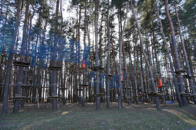 Powstaje park linowy w Białymstoku! To nowa inwestycja na plaży Dojlidy