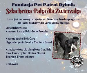 Pet Patrol Rybnik organizuje akcję Szlachetna Paka dla Zwierzaka 