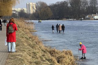 Skrajna nieodpowiedzialność. Spacerują po płytkim lodzie z dziećmi i psami. Dramat na Pradze-Południe w Warszawie