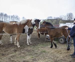 Rolnicy. Podlasie. Emilia Korolczuk i jej Ranczo Laszki