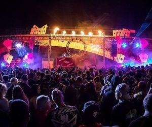 Skandal na francuskim festiwalu: 145 osób ukłutych strzykawkami podczas zabawy. Co wydarzyło się na Fête de la Musique?