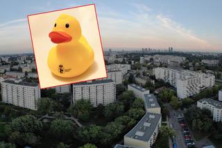 Zaskakujący gadżet warszawskiej dzielnicy. Żoliborz promuje... gumowa kaczka!