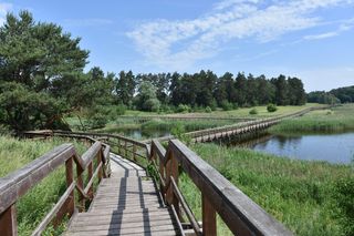   Piecki to małomiasteczkowa wieś na Mazurach. Skrywa wiele niezwykłych atrakcji!