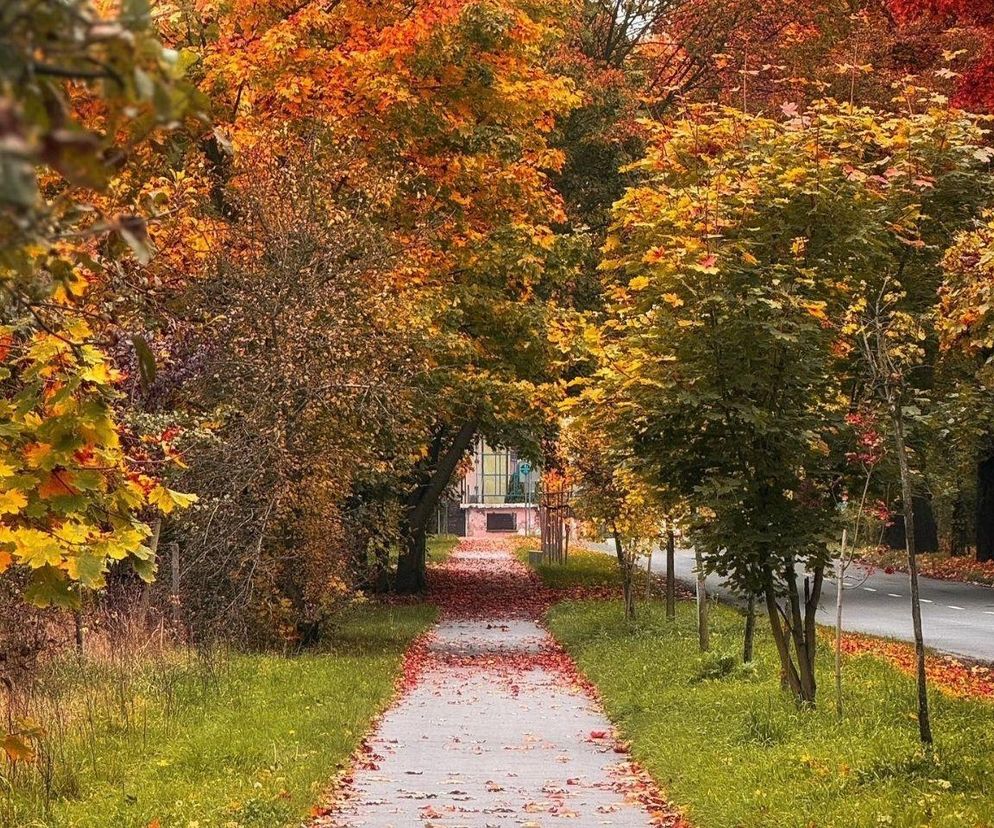 Śląska miejscowość z nowymi ulicami. Jakie nazwy uchwalono?