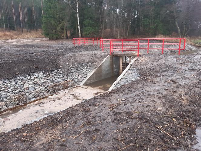 Na Warmii powstaje ptasie "El Dorado". Sztuczne wyspy przyciągną rybitwy [ZDJĘCIA]