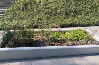 Ogród sensoryczny w Parku Strzeleckim