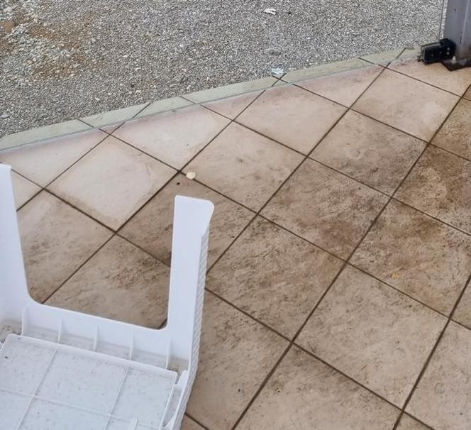 Koszmarne warunki w hotelu w Macedonii. Klienci pokazują zdjęcia