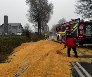 Deszcz kukurydzy pod Oświęcimiem. Droga została zasypana ziarnem
