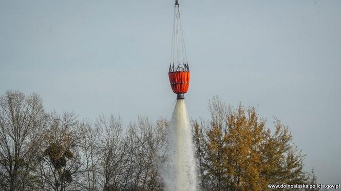 Wrocław. Ćwiczenia na terenie Portu Lotniczego im. Mikołaja Kopernika [ZDJĘCIA].