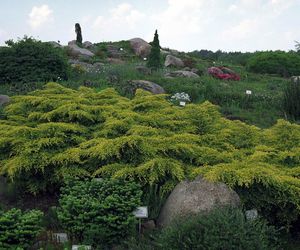 Ogród Botaniczny w Powsinie