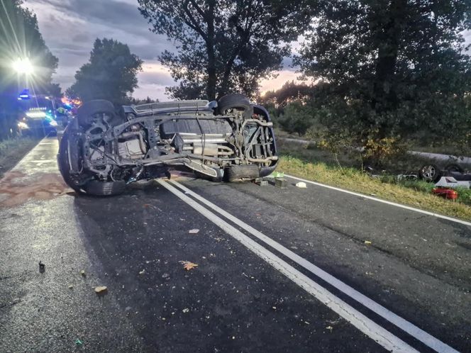 Przytoczna. Śmiertelny wypadek na DK 24. 49-latek nie żyje [ZDJĘCIA].