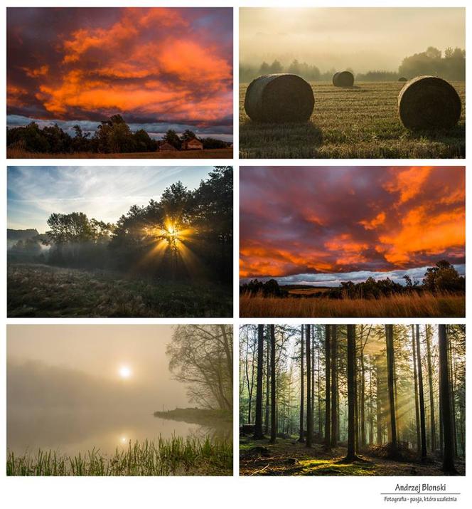 Podkarpacie: Najlepsze fotografie Andrzeja Błońskiego w 2016 roku