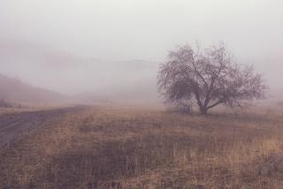 Jaka pogoda w piątek i podczas weekendu? Synoptycy ostrzegają! [PROGNOZA]