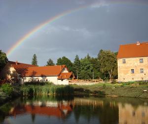 Arboretum Wojsławice prezentuje pełną paletę barw