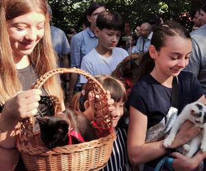 Zwierzęta po raz kolejny poświęcone w Mikstacie