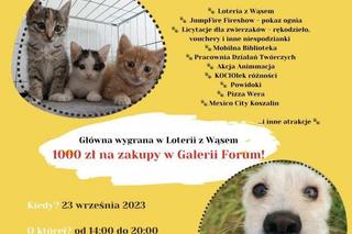 W Cewlinie odbędzie się „Piknik z Wąsami”