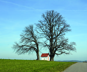 Praca nad krajobrazem