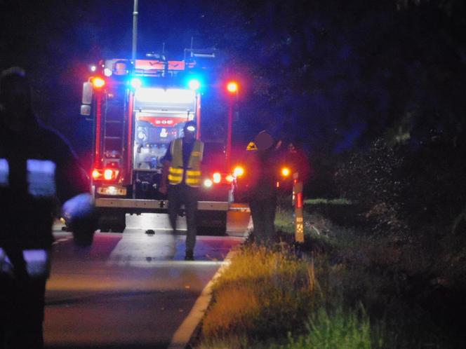 Magnuszew. Nietrzeźwy kierowca potrącił 5 osób. Są ofiary śmiertelne