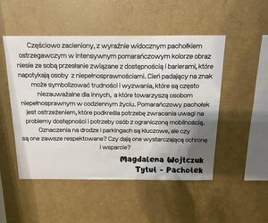 Laureaci konkursu fotograficznego „Przyjaźń bez barier” nagrodzeni