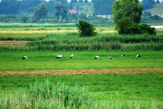 Niedługo rusza Podlaski Bon Turystyczny! Poznajcie szczegóły