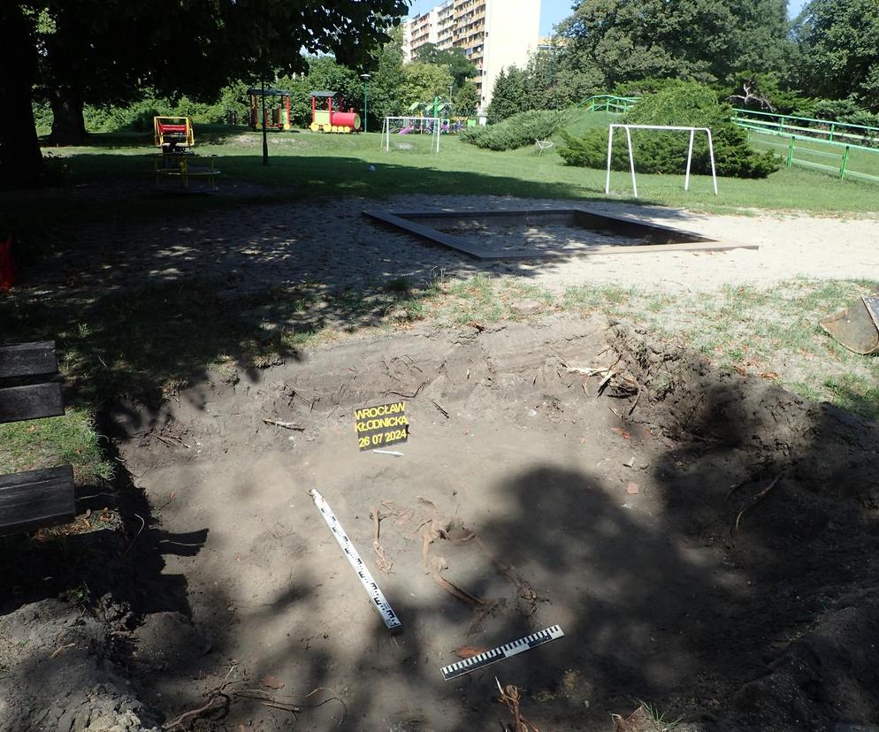 Ludzkie szczątki na terenie przedszkola