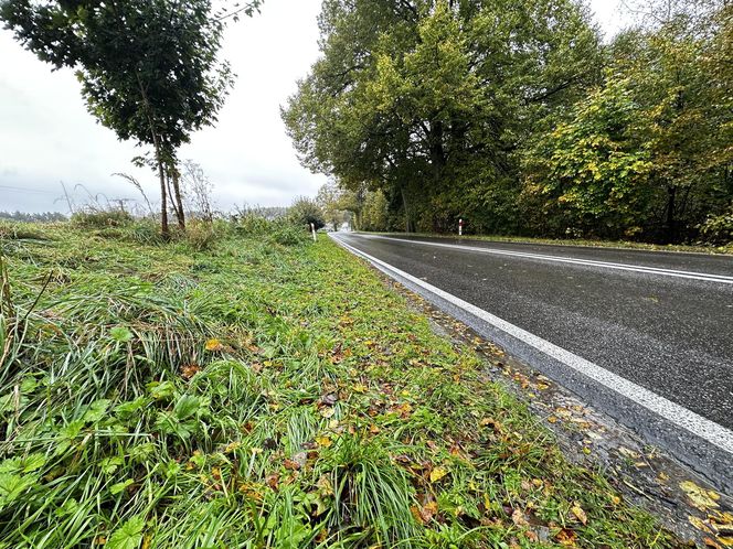 Łebieńska Huta. 10-latek zginął, bo trafił na szaleńca drogowego