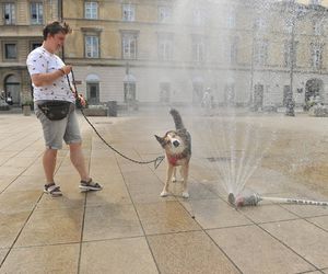 Gorący początek wakacji. IMGW rozwiewa wątpliwości