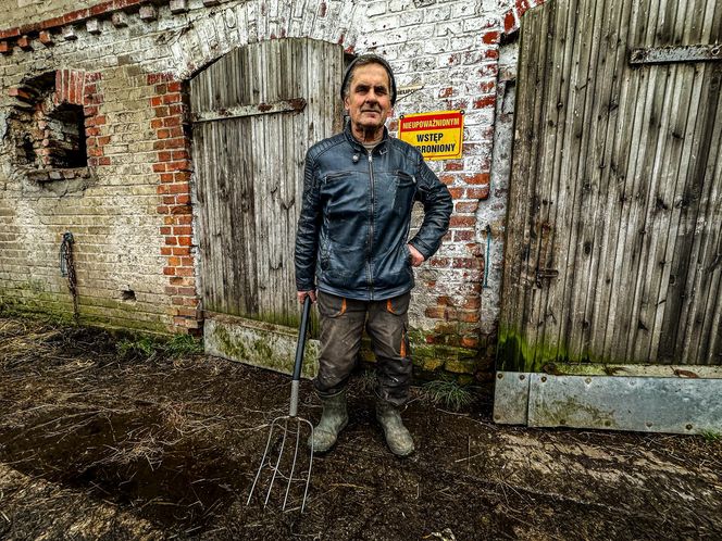 Takt zniknął ze stajni. Właściciel załamany