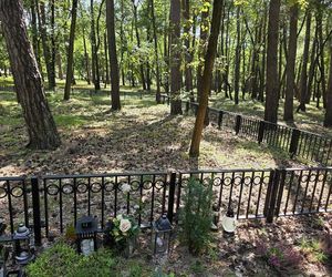 Las pamięci na Junikowie w Poznaniu