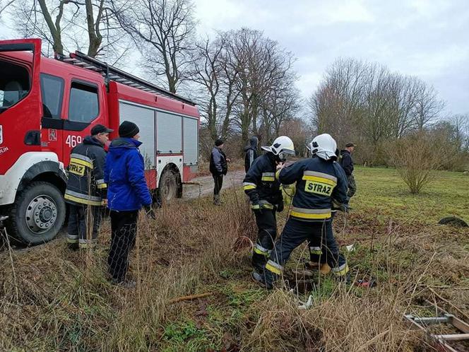 Pies wpadł do szamba. Strażacy z Wolina uratowali mu życie