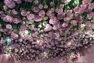 „Najbardziej instagramowa kawiarnia” otwarta w Krakowie