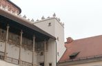 To najdroższe muzeum w Polsce. Za rodzinne zwiedzanie musimy zapłacić ponad 300 zł