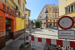 Sadzenie drzew na Grunwaldzkiej w Rzeszowie