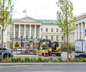 Warszawa dawkuje zieleń jak z kroplówki