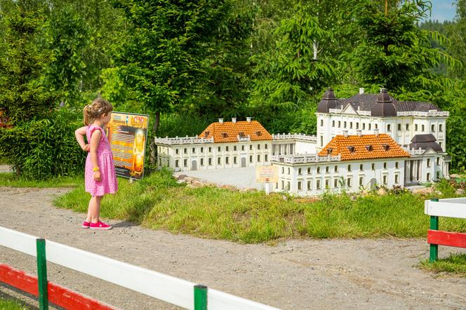 Atrakcje Bałtowskiego Kompleksu Turystycznego. Co warto zobaczyć w czasie wakacji?