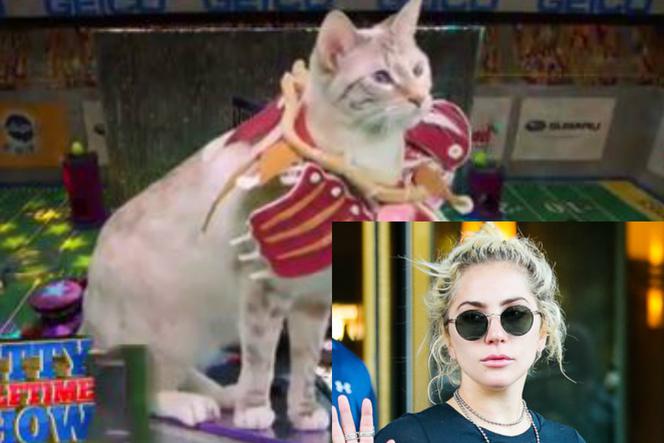 Lady Gaga, Kitty Bowl